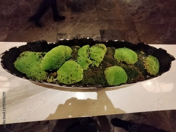 Fototapeta broccoli in a pot