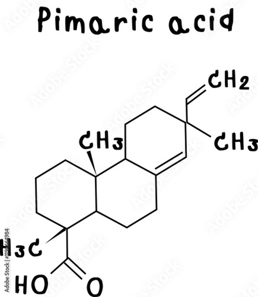 Fototapeta Pimaric acid,chemical structure of Pimaric acid illustration on transparency background