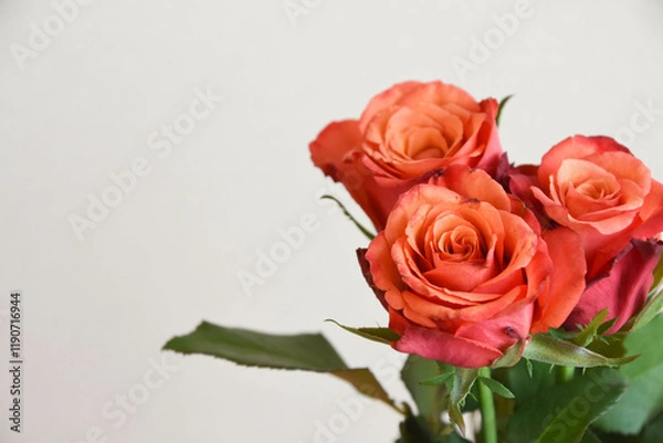 Fototapeta 赤い薔薇