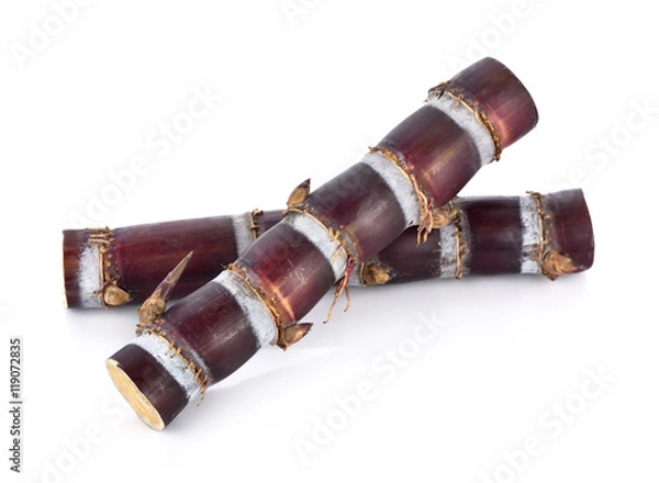 Obraz sugarcane on white background