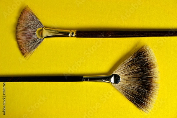 Obraz fan brushes