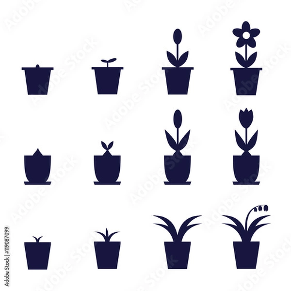 Fototapeta pot flowers icons showing levels of their growth and development