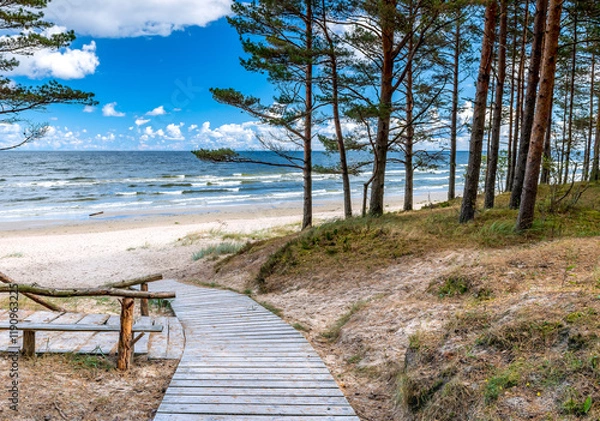 Obraz Observation point among pine forest near a sandy beach of the Baltic Sea. Photo depicts ecological tourism in Baltic region. No AI tools were used