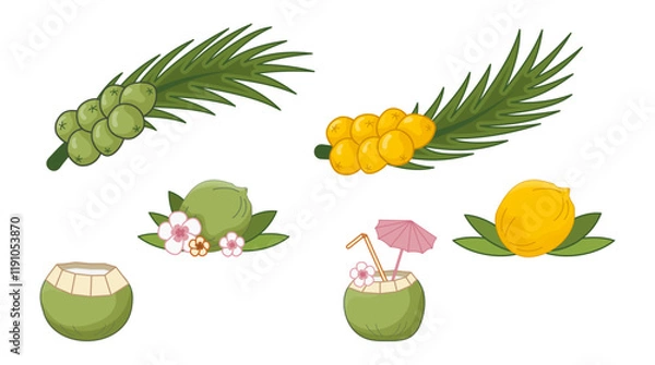 Fototapeta Yellow coconuts vector illustration, Sri Lanka, Maillard reaction. Palm leaves with yellow fruits, Royal coconut. Green coconut on palm branch. Coconut cocktail with straw, tropical flowers, umbrella.