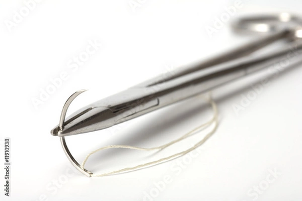 Obraz Needle holder