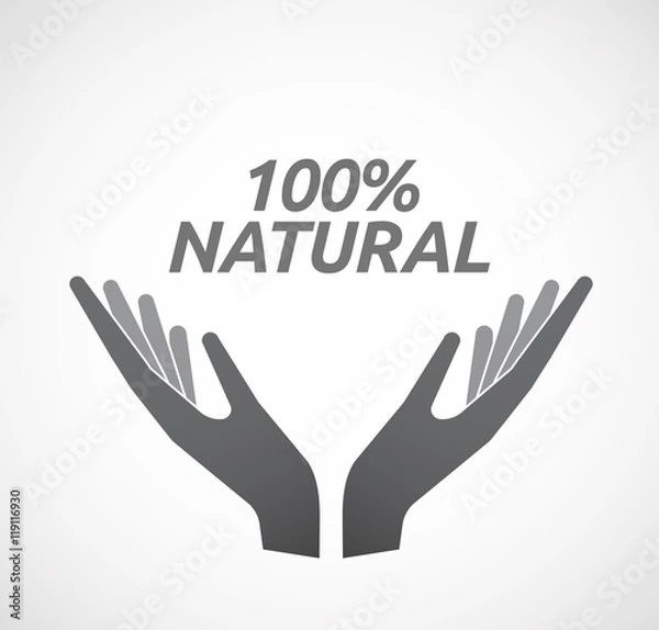 Obraz Isolated hands offering icon with    the text 100% NATURAL