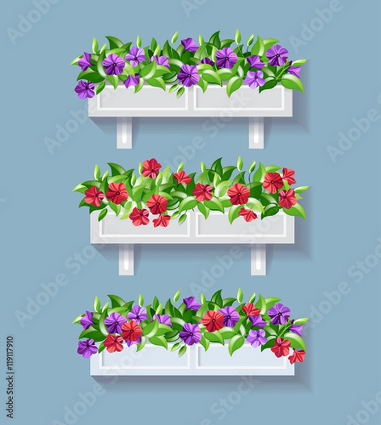 Obraz Flower pots. Window flowers. Petunia. Floral set.