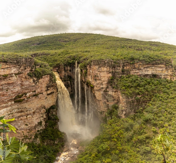 Fototapeta CACHU HERCULANO