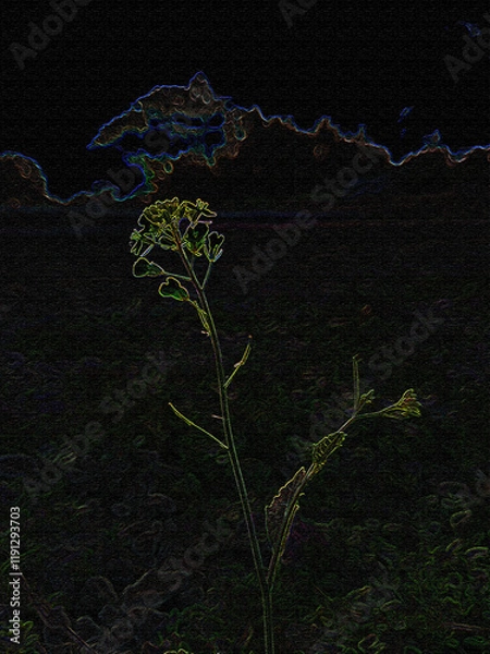 Obraz Mustard Flower