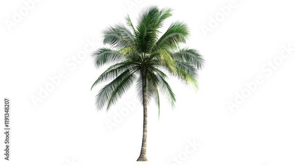 Fototapeta Palm tree transparent background