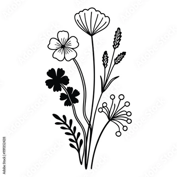 Fototapeta Flower line art. Hand drawn flowers, meadow herbs, wild plants, botanical elements for design projects. Vector illustration.