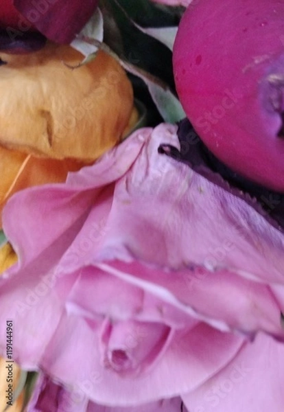 Obraz sliced cabbage