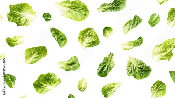 Obraz Green leaves transparent background