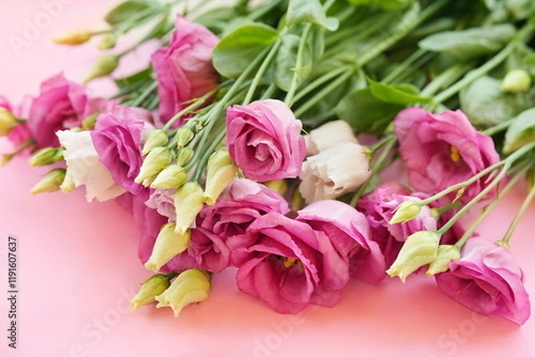 Fototapeta Delicate blooming festive eustomas summer flowers, blossoming lisianthus (prairie gentian) flower background, bright bouquet floral card, selective focus