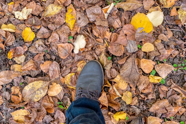 Fototapeta VIEW OF STANDING STEP ON DRY LEAVES IN AUTUMN