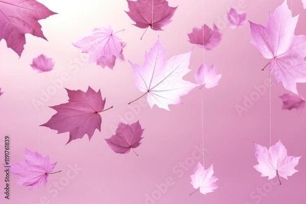 Fototapeta Purple color maple leaves dropping 