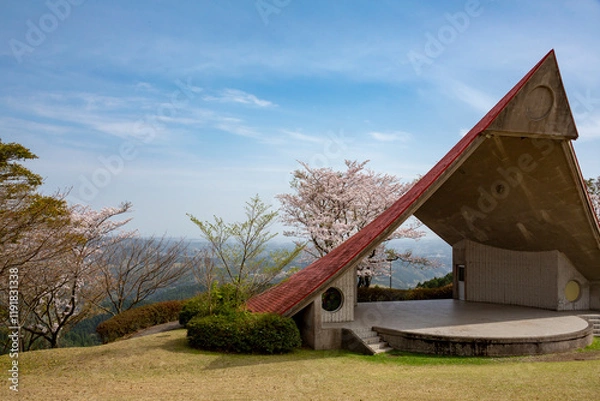 Obraz 桜の下の公園のコンサートステージ