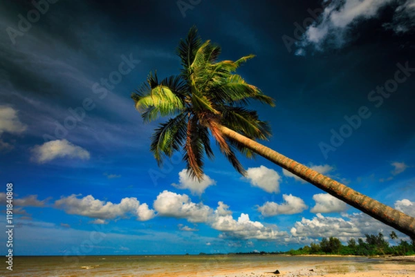 Fototapeta Palm tree on the beach with sky
