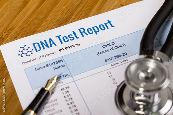 Obraz DNA Test Report