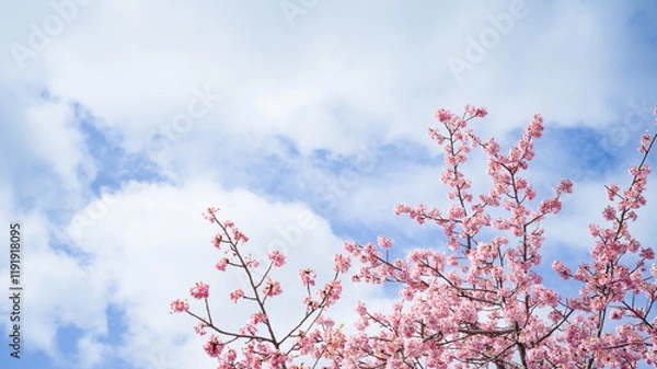 Obraz blossom in spring