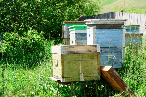 Fototapeta Wooden Beehive