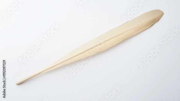 Fototapeta White Quill Feather: A single, pristine white quill feather with delicate barbs lies in a minimalist setting, ready to capture the essence of words and stories. 
