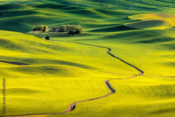 Fototapeta Palouse in the spring seen from Steptoe Butte State Park