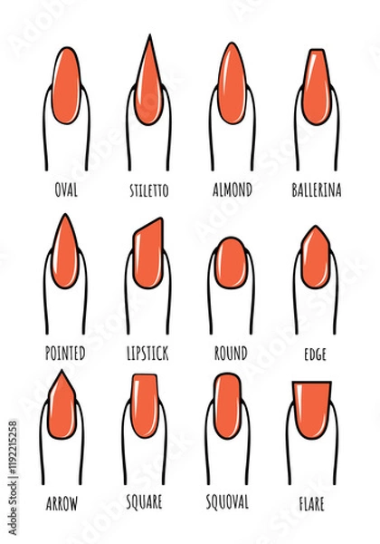 Fototapeta  types of nails manicure vector sketch. collection of nail shapes vector drawing. female finger with red nails vector sketches for nail shapes