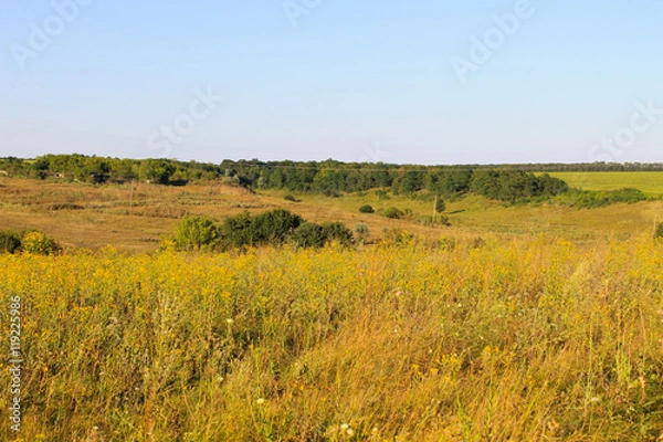 Fototapeta Summer landscape with meadow, trees and hills