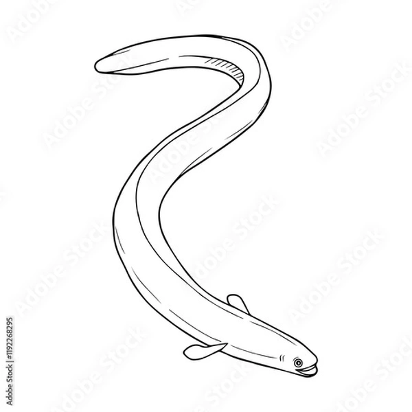 Obraz eel line vector illustration