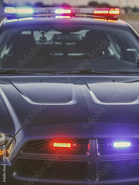 Obraz Police car lights