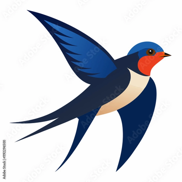 Obraz barn swallow illustration