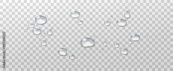 Fototapeta Realistic vector water drops png on a transparent light background. Water condensation on the surface with light reflection and realistic shadow. 3d vector illustration