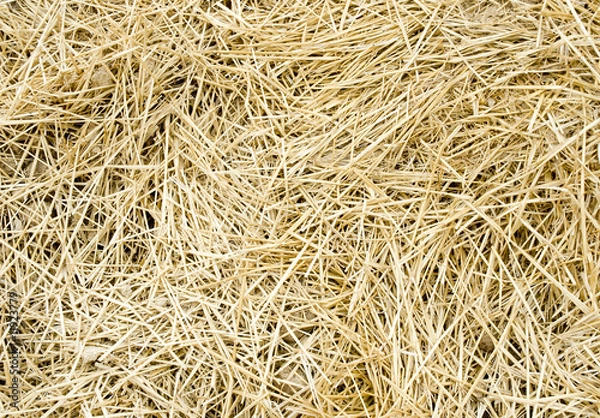 Fototapeta straw background