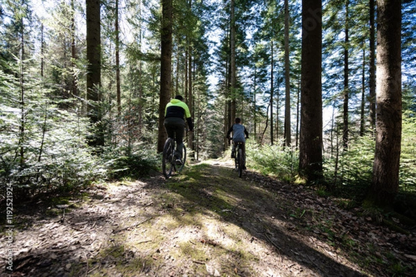 Fototapeta Mountain bikers enjoy a sunny day cycling through a lush forest. Sunlight filters through the trees, illuminating the path ahead. A serene and peaceful scene.