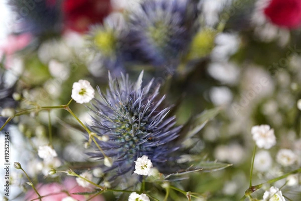 Fototapeta 花束の中のエリンジウム