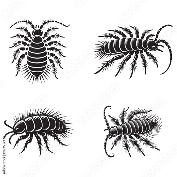 Fototapeta Monochrome Vector Silhouettes of the Springtail Flea Isolated on a White Background"