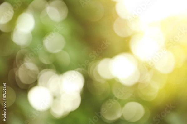 Fototapeta Bokeh of abstract green nature background