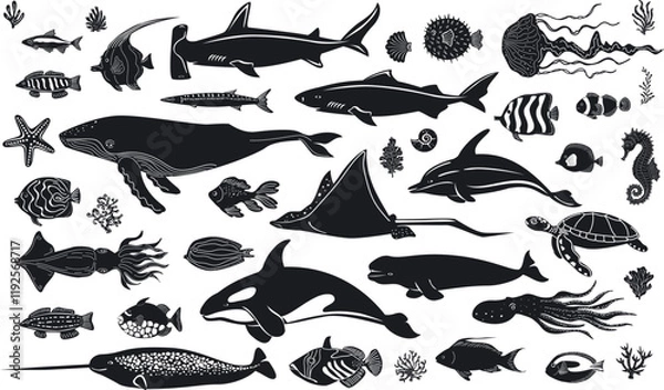 Fototapeta deep sea ocean mammals creatures and fish  marine life nautical vector illustration design  set in black and white