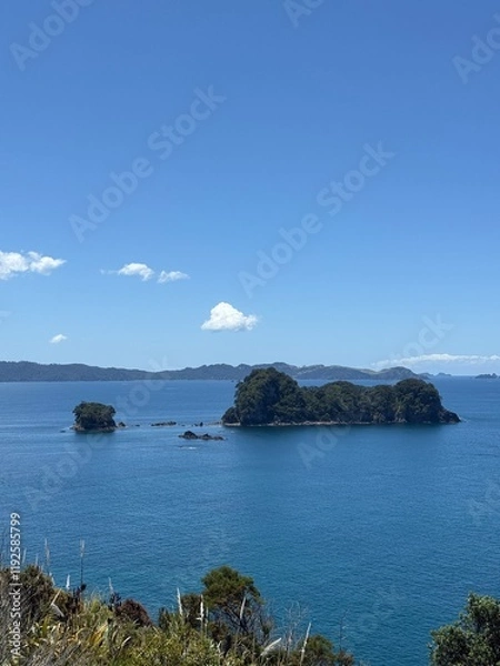 Obraz cathedral cove, New Zealand NZ