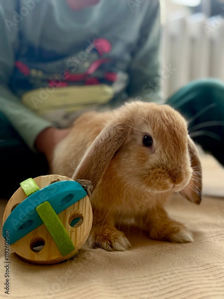 Obraz Little Friendships: Boy and Bunny