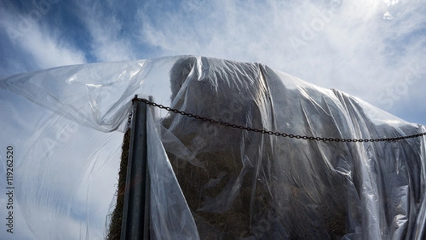 Obraz Heu unter transparenter Folie