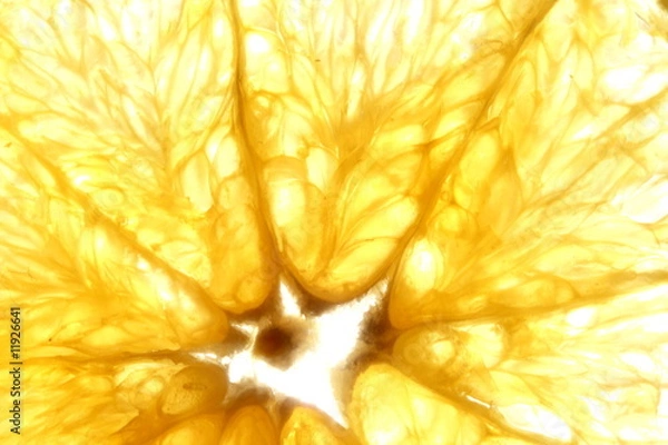 Obraz Sliced orange close up