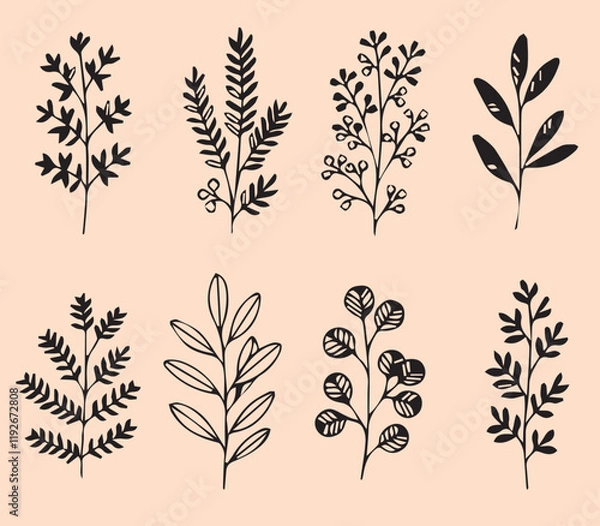 Fototapeta Print set Flowers hand drawn black line logo for design on white background plant branch