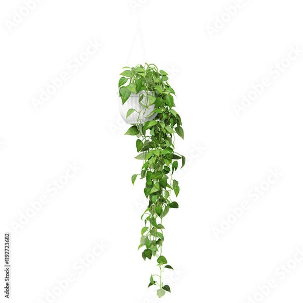 Obraz 3d rendering of hanging Golden Pothos plant in pot isolated on transparent Canvas