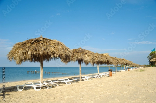 Fototapeta Beach with parasols and sunbeds