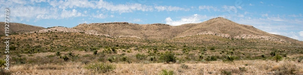 Fototapeta Los Caballos