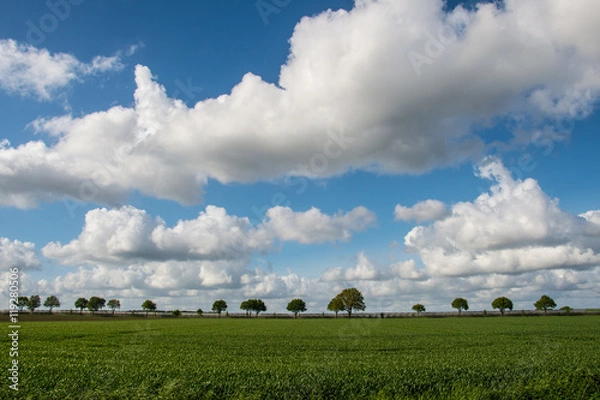 Fototapeta rural landscape