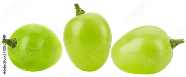 Fototapeta set of single green grape isolated on white background