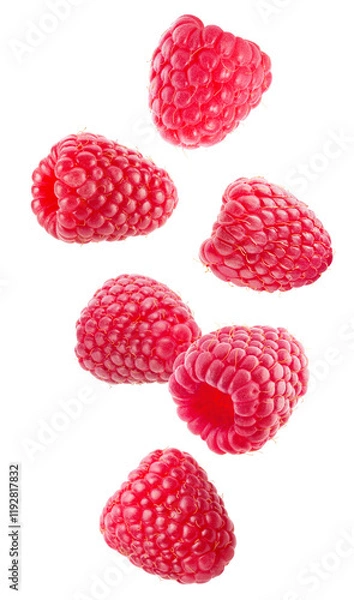 Fototapeta falling raspberries isolated on a white background